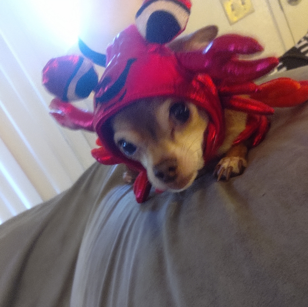 Meet your Posher, Mike